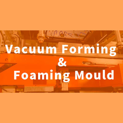 Vacuum Forming And Foaming Mould